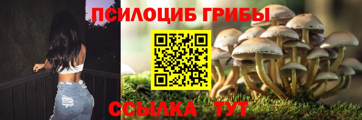 Псилоцибиновые грибы MAGIC MUSHROOMS  Псилоцибиновые грибы ЛСД  Иваново  Вход с VPN 